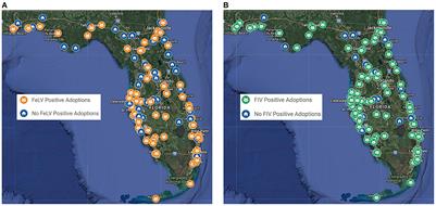 Animal shelter management of feline leukemia virus and feline immunodeficiency virus infections in cats